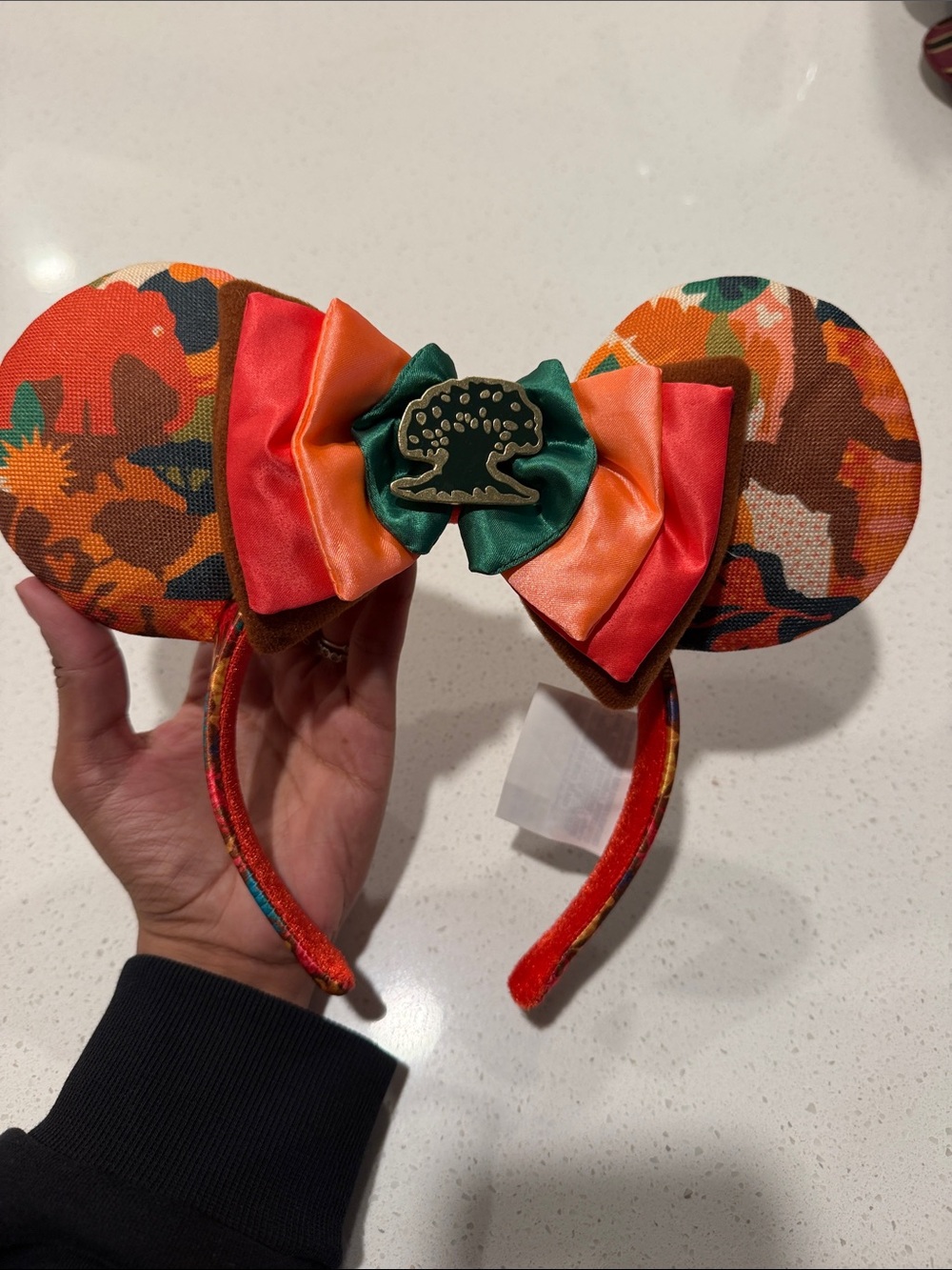 Animal Kindgom ears